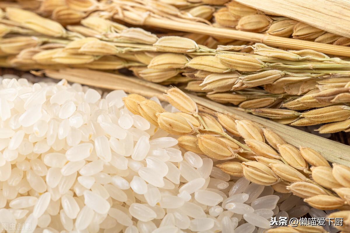 富硒米和普通米的区别在哪(口感有什么有点和不同)-硒宝网