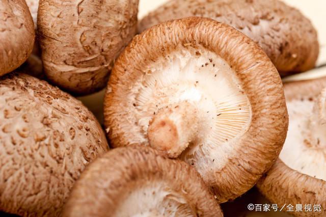 硒的作用和补硒的好处(缺硒有什么症状)-硒宝网