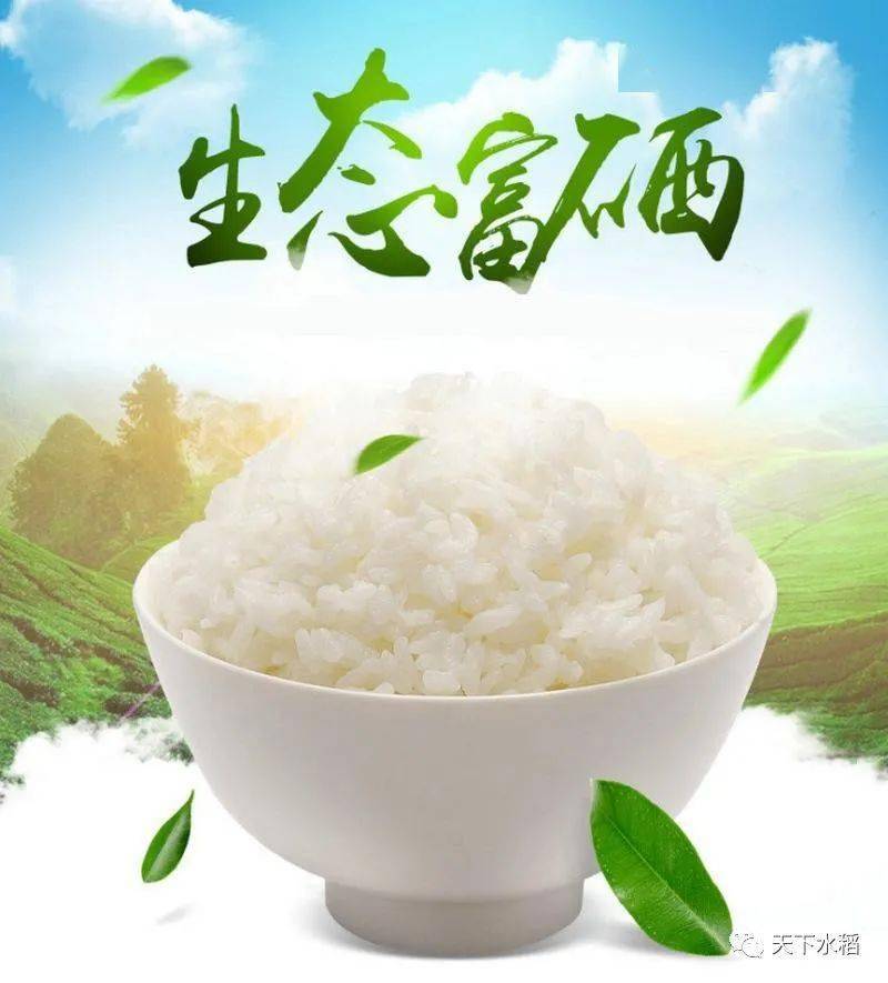 吉内得富硒大米怎么样(吉内得富硒大米产地在哪)-硒宝网