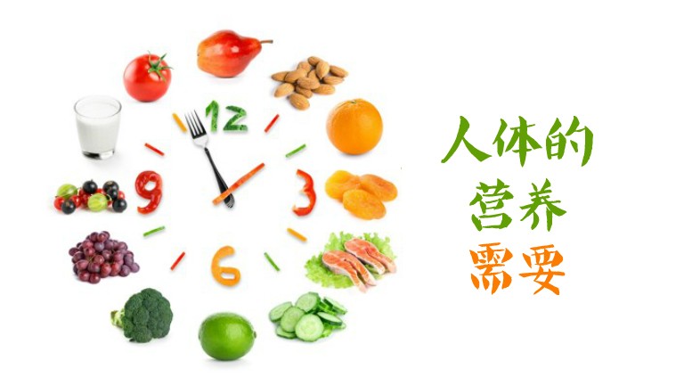 食物含硒量一览表2023(食物含硒量高的有哪些)-硒宝网
