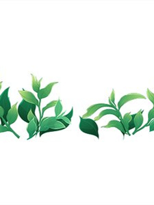 含硒的茶叶有哪些(硒茶对人功效和好处)-硒宝网