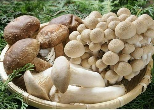 孕妇补硒吃什么(怀孕补硒食物有哪些?)-硒宝网