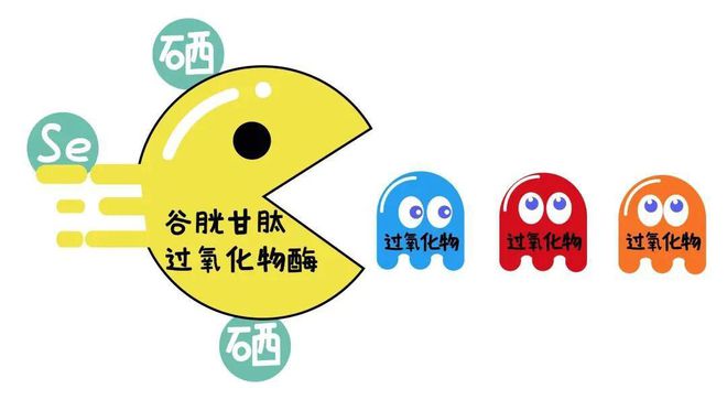 肽和硒一起用的功效(肽好还是硒好)-硒宝网
