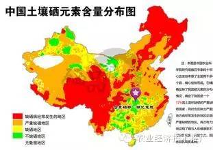 富硒产品有哪些种类(富硒农产品都有什么)-硒宝网