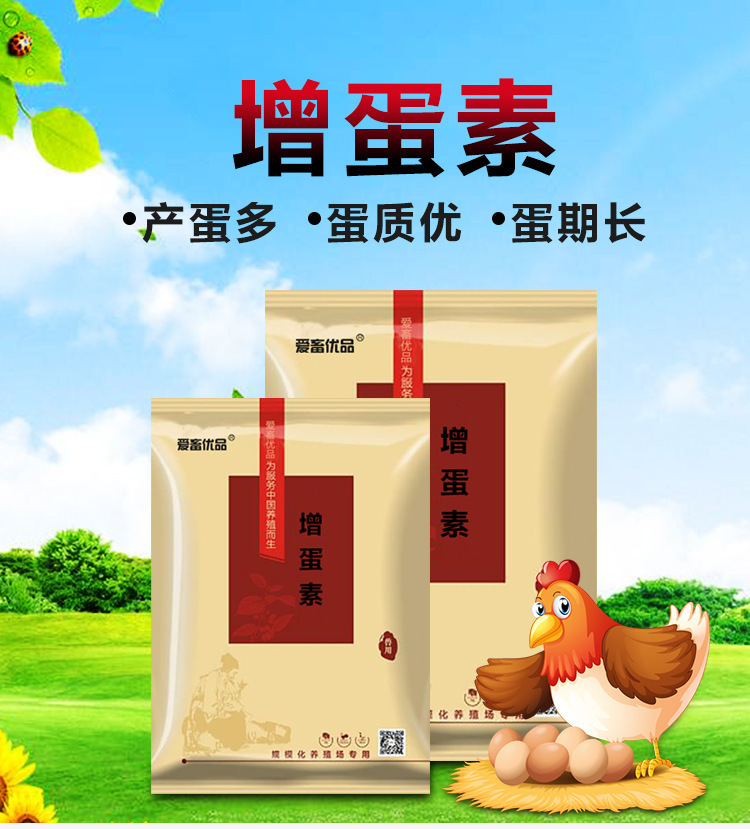 富硒鸡蛋生产技术规范(富硒鸡蛋养殖原料配方)-硒宝网