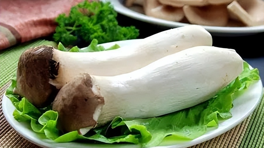 补硒对抗癌有什么作用(对肿瘤病人的好处和功效)-硒宝网