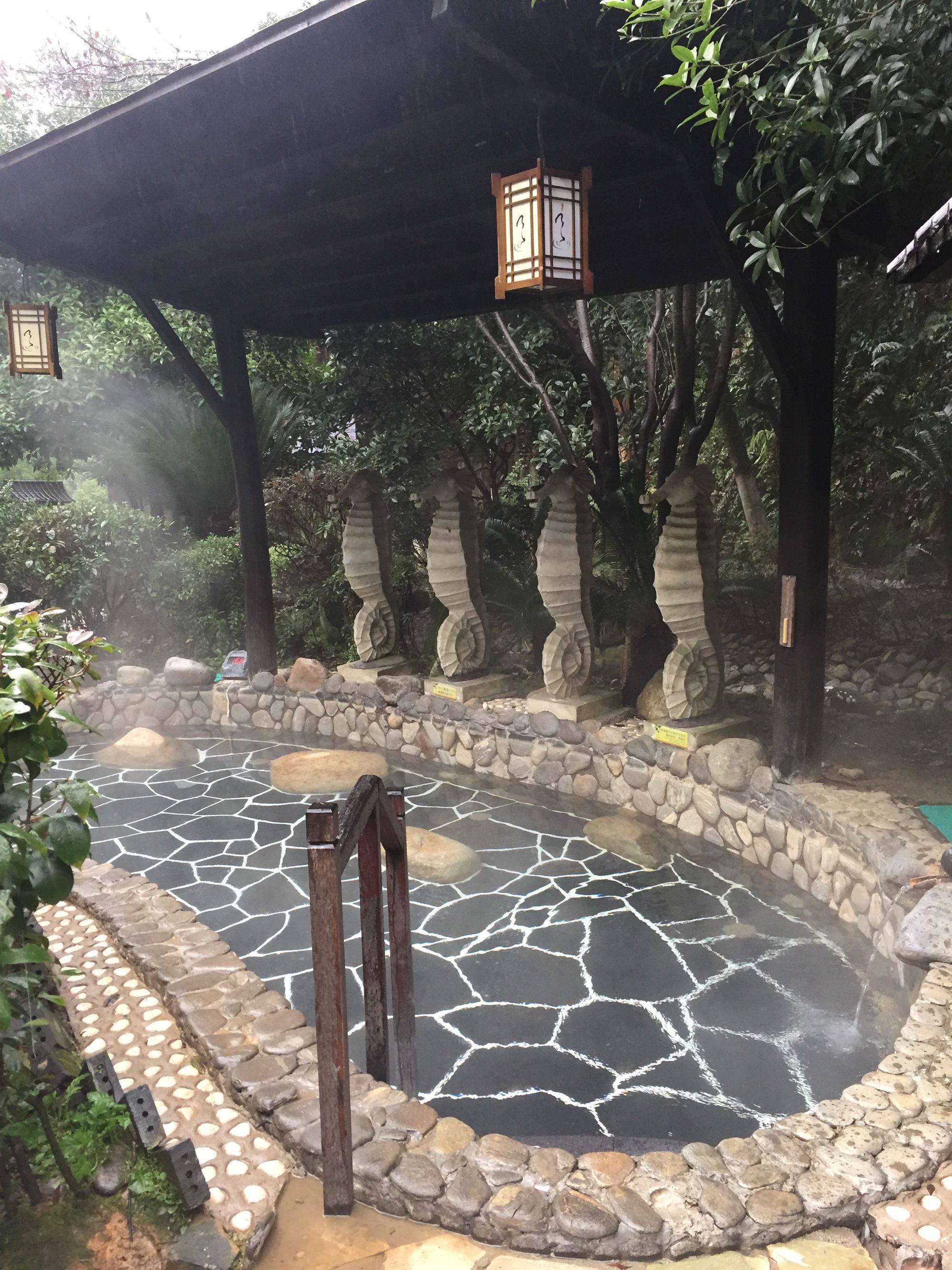 温汤镇的水都含富硒吗(温泉水真有这么好吗)-硒宝网