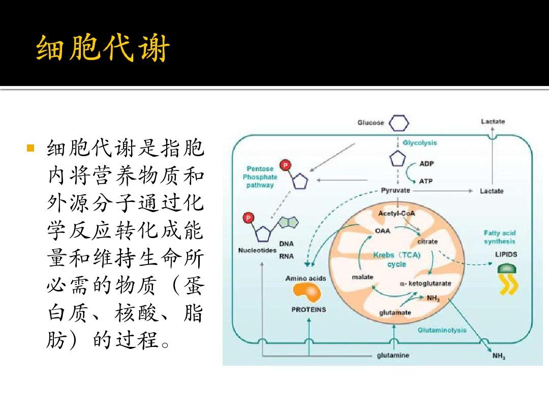 需要补硒的十大人群(什么样人补硒最好)-硒宝网