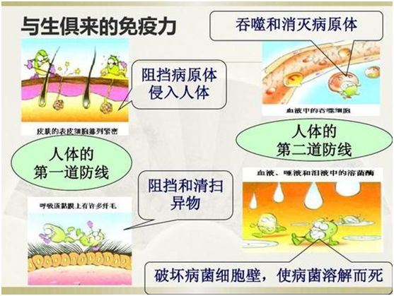 含硒的蔬菜水果(什么蔬菜水果含硒)-硒宝网