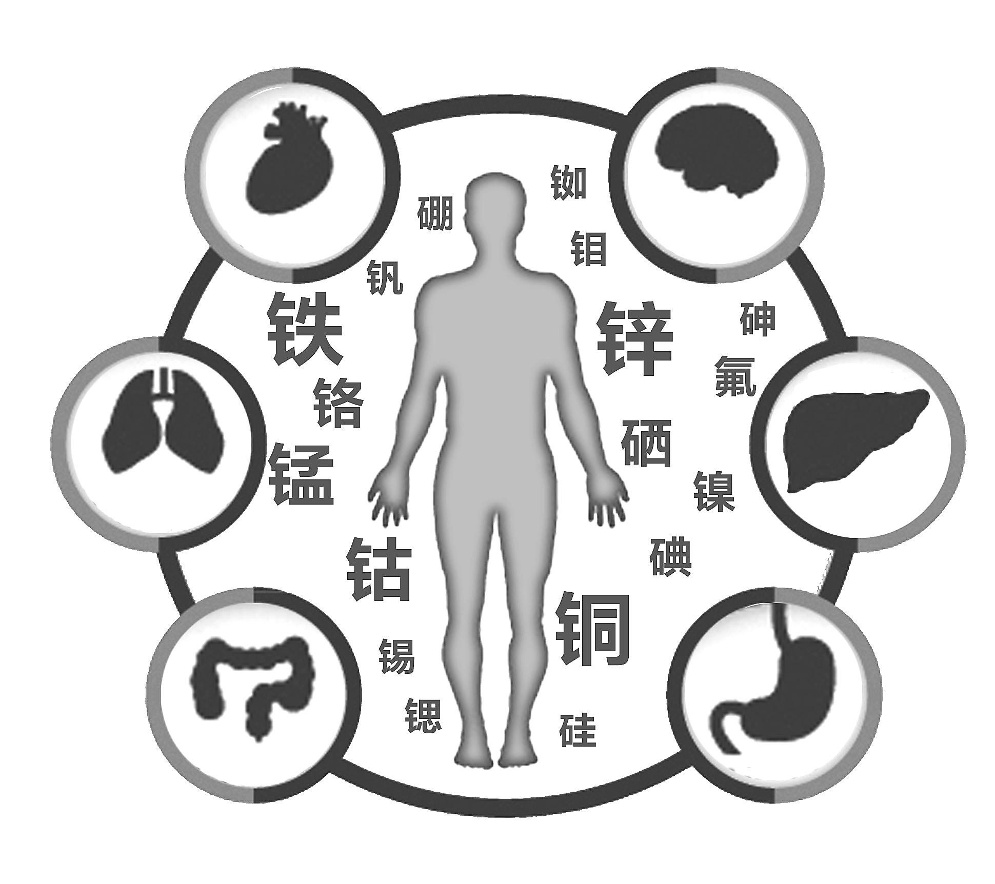 硒的功能是什么(硒的作用与六大功能硒)-硒宝网