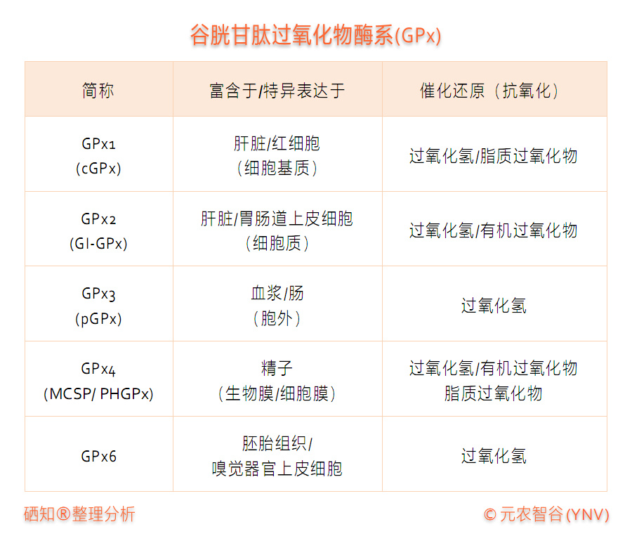硒的提取方法(如何提取硒元素)-硒宝网