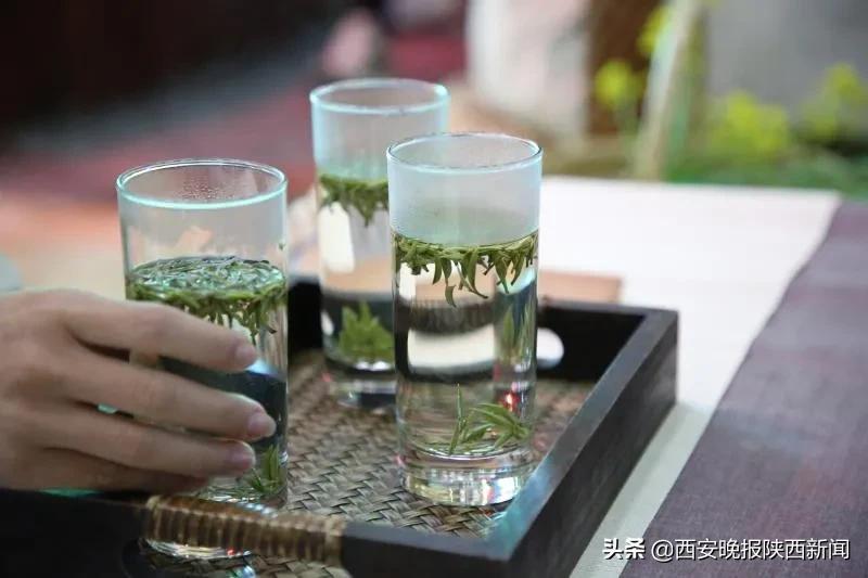陕西安康富硒茶(富硒茶哪里产的最好)-硒宝网