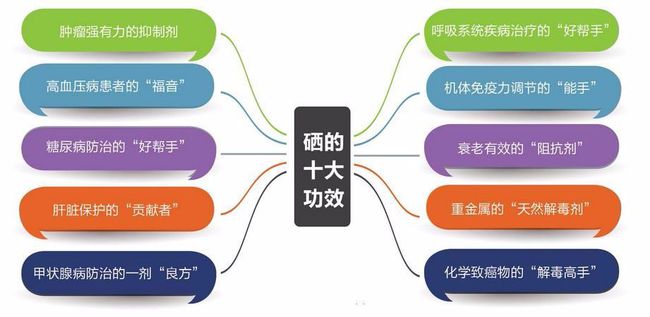 微量元素硒对身体有什么好处(微量元素硒含量高的食物)-硒宝网