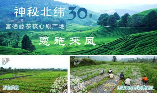 我国富硒地区有哪些(中国富硒地区都有哪几个地方)-硒宝网