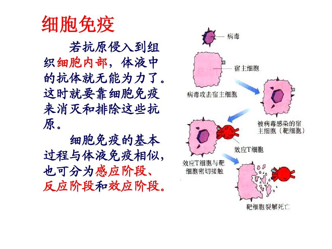 硒的作用有哪些(人体中的硒起什么作用)-硒宝网