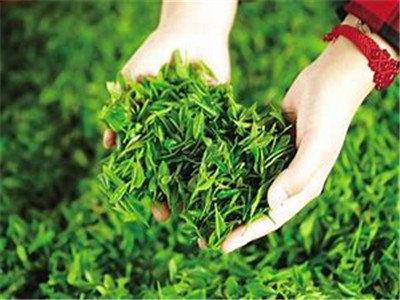 富硒茶的硒指的是什么(富硒茶中的硒指什么)-硒宝网