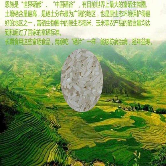 富硒水稻是什么意思(什么是富硒水稻)-硒宝网