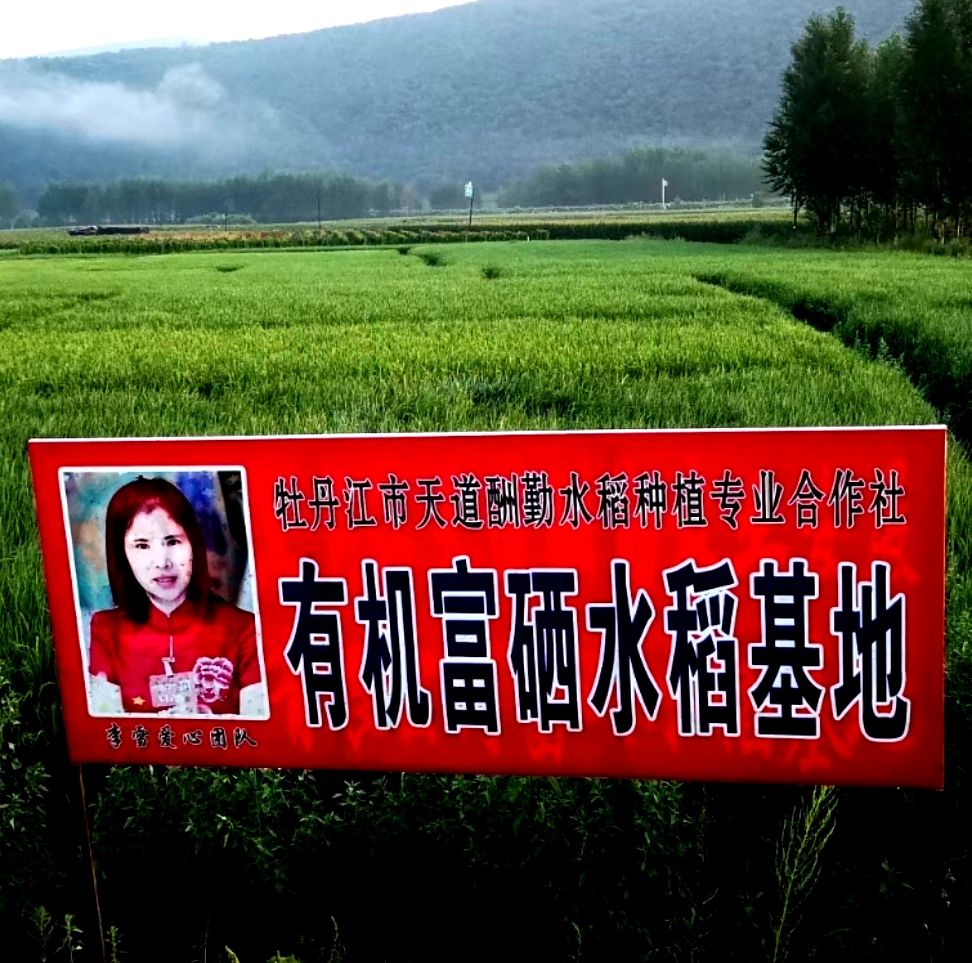 富硒大米的硒含量国家标准(规定硒含量多少才能称为富硒)-硒宝网