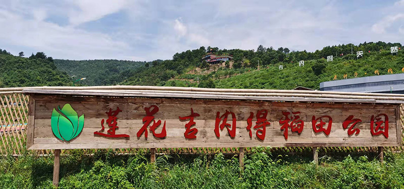 江西富硒米多少钱一斤(江西富硒米是哪里产的好)-硒宝网