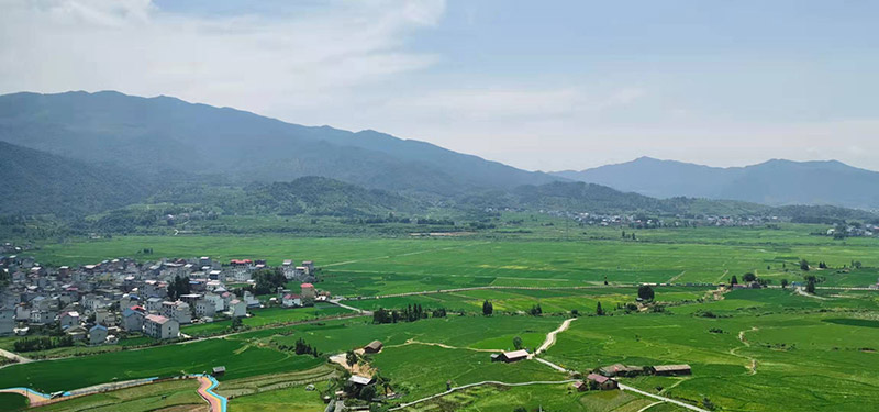 江西富硒米多少钱一斤(江西富硒米是哪里产的好)-硒宝网