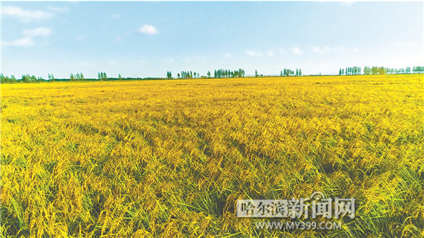 中国富硒之都(中国富硒食品)-硒宝网