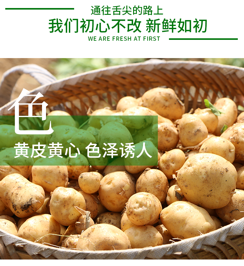 恩施富硒之地是哪里(湖北恩施富硒产业相关介绍)-硒宝网