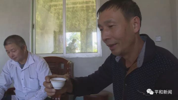 含硒最好茶叶-富硒白芽奇兰茶(茶叶含硒的标准值)-硒宝网