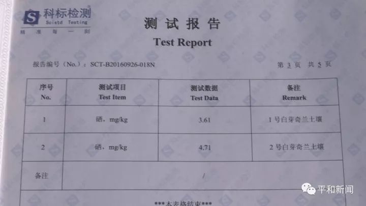 含硒最好茶叶-富硒白芽奇兰茶(茶叶含硒的标准值)-硒宝网