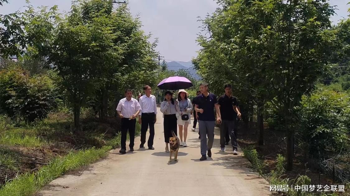 富硒青钱柳茶的功效(喝青钱柳茶有什么好处)-硒宝网