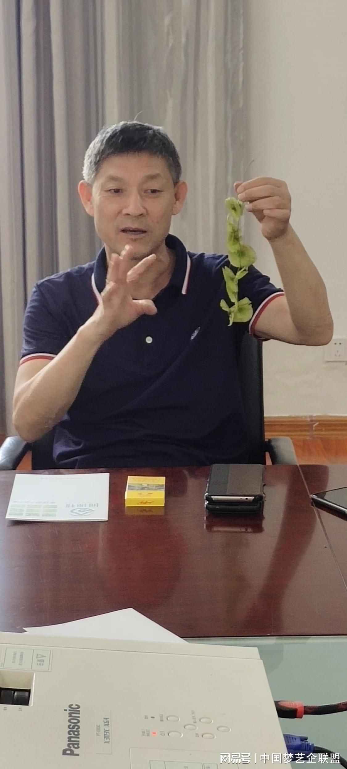富硒青钱柳茶的功效(喝青钱柳茶有什么好处)-硒宝网