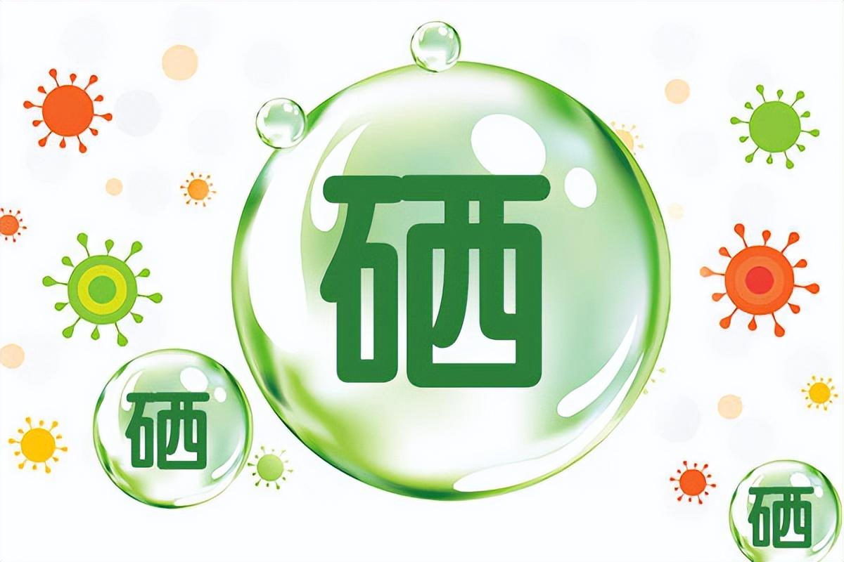 什么食物含硒量最高(食物含硒高低顺序)-硒宝网