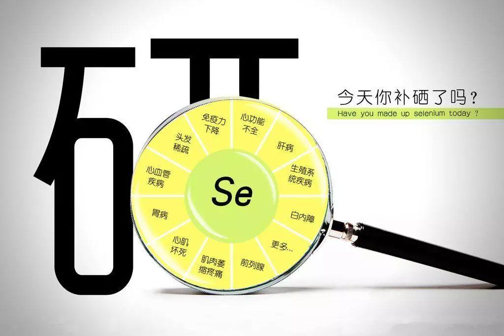 什么食物含硒量最高(食物含硒高低顺序)-硒宝网