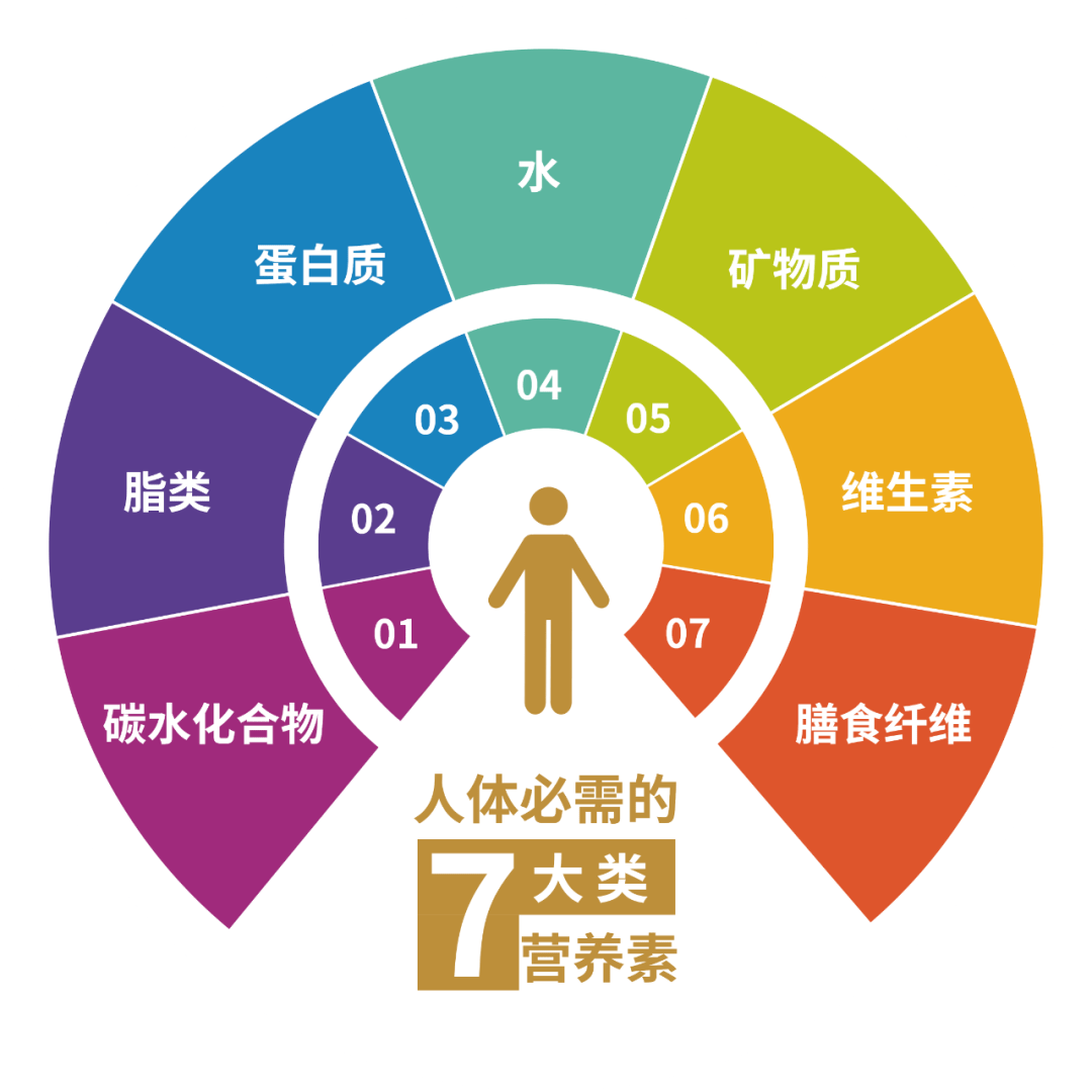 吃什么食物补硒最快最好(硒吃什么可以补)-硒宝网