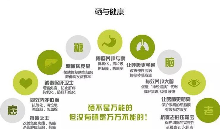 如何正确补硒