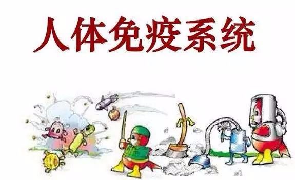女人补硒吃什么药好