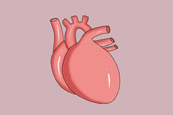 补硒要补什么样的硒