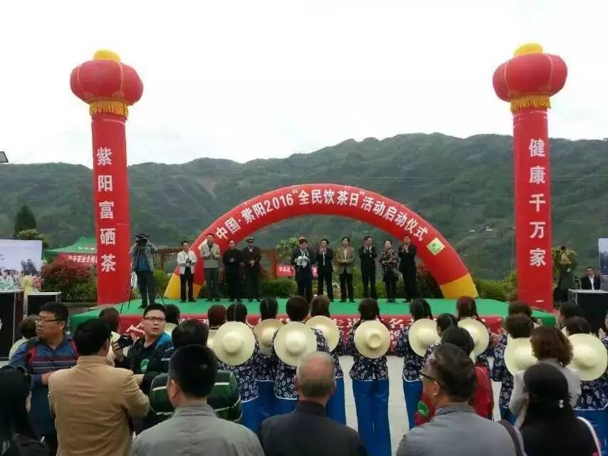 陕西富硒茶产地
