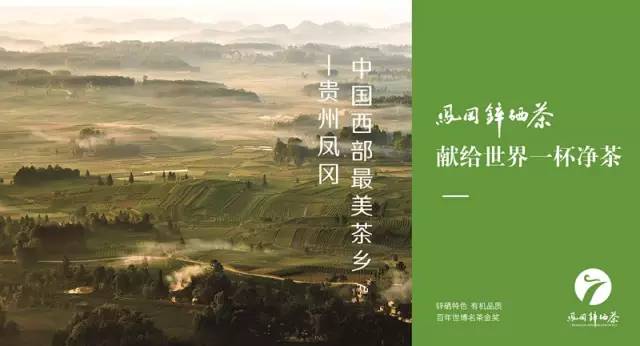 陕西富硒茶产地