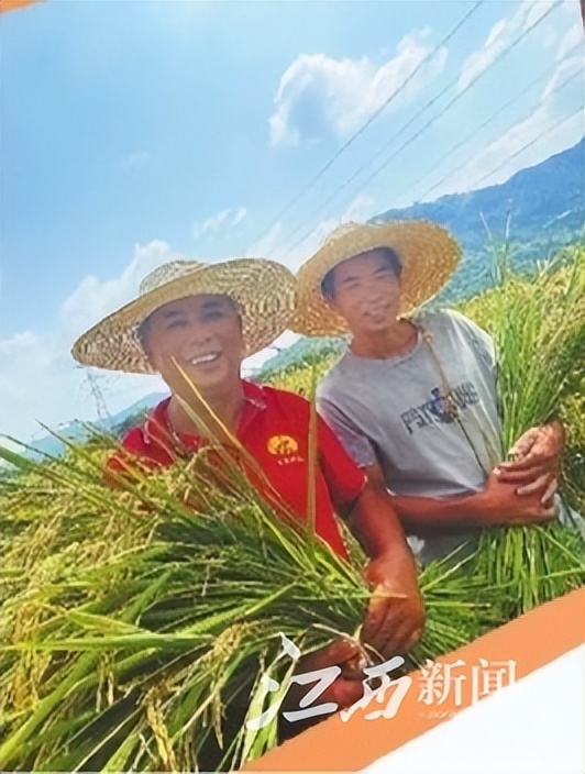 江西宜春富硒农产品有哪些