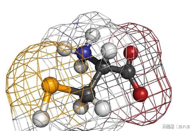 硒元素吃什么补(补充硒元素有什么禁忌)-硒宝网