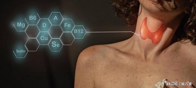硒元素吃什么补(补充硒元素有什么禁忌)-硒宝网