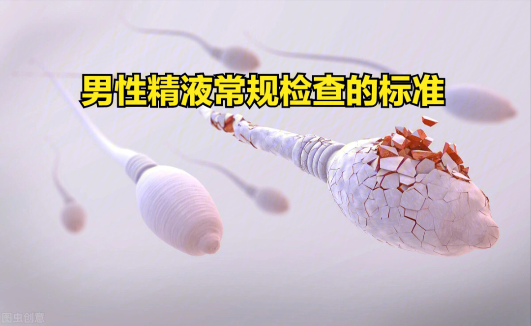 吃什么补锌补硒
