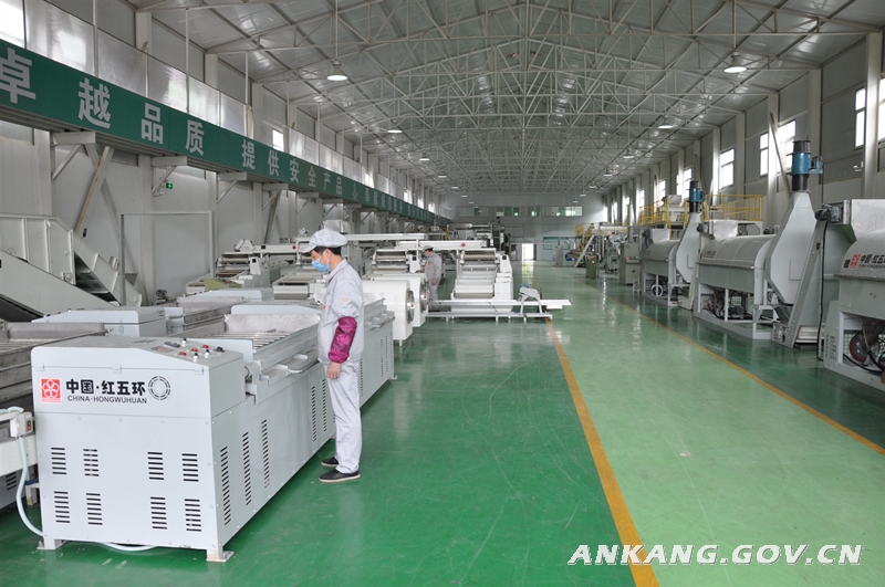 恩施硒茶的作用(恩施硒茶的功效)-硒宝网