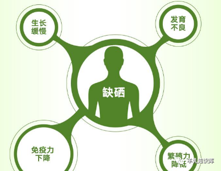 血脂高可以补硒吗