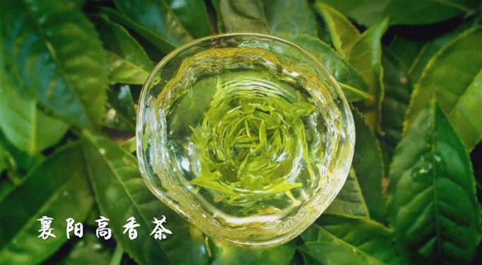 湖北恩施富硒茶多少钱一斤