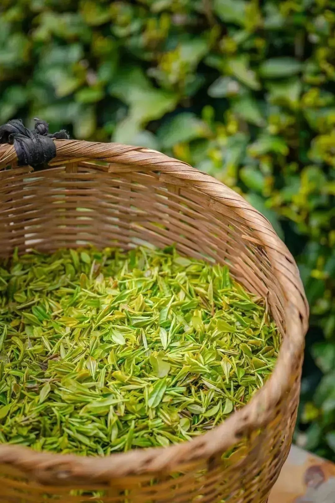 湖北恩施富硒茶多少钱一斤
