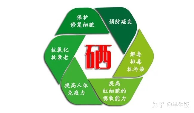 补硒治什么病