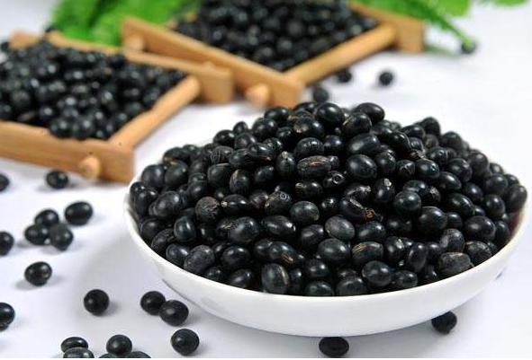 成人吃什么补钙最快最好？10大补钙食物排行榜