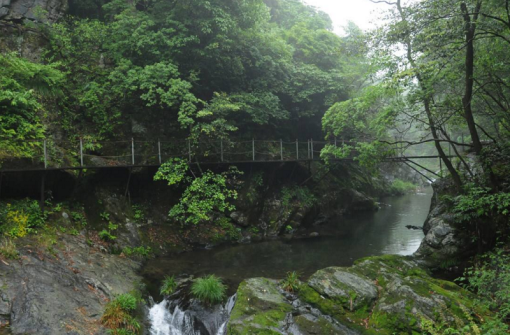 大山村富硒村农家住宿