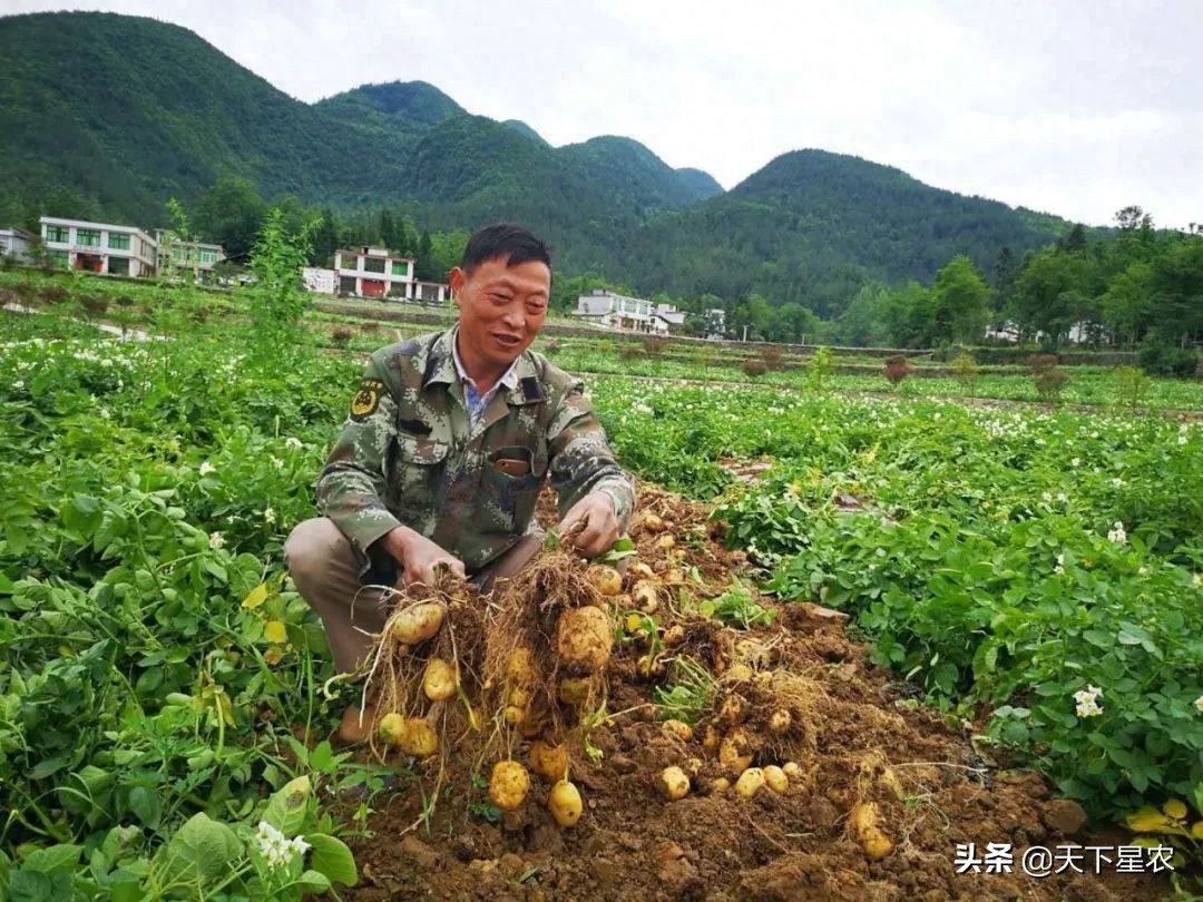 恩施盛硒源有哪些产品